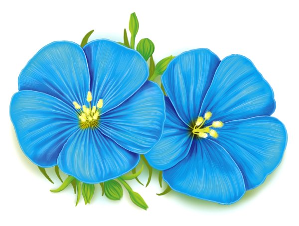 Лен долгунец вектор