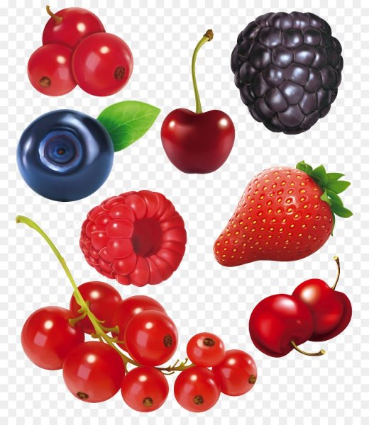 Ягода черники акварель