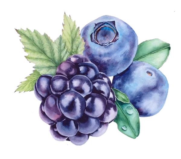 Клубника рисунок