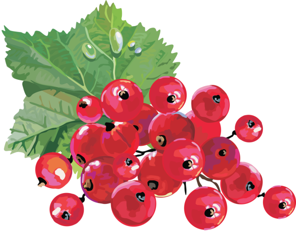 Рисование с детьми ягоды