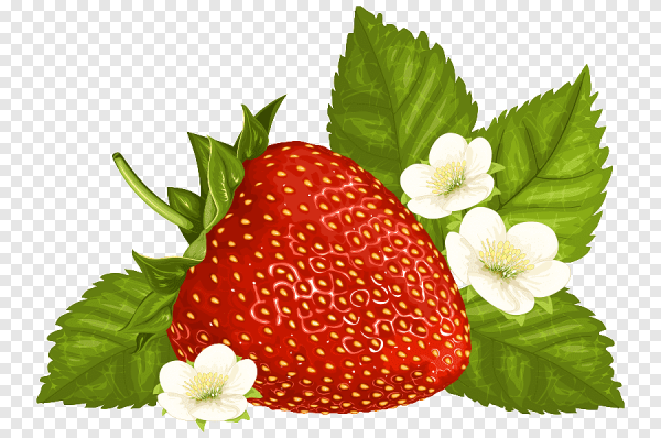 Малина для дошкольников