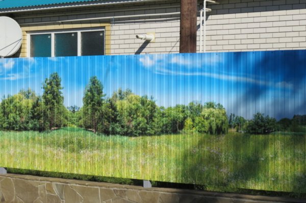 Металлопрофиль с рисунком