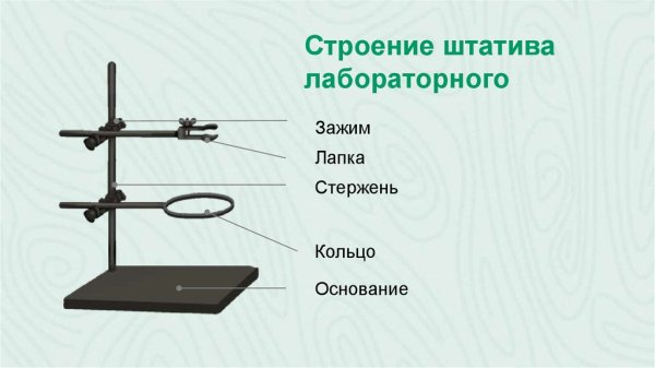 Строение лабораторного штатива химия