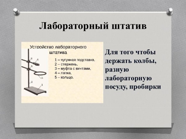 Строение лабораторного штатива химия