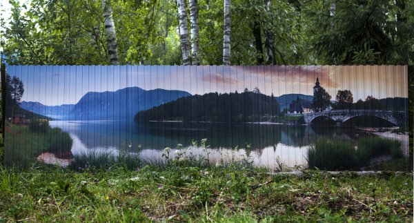 Забор из профлиста с фотопечатью