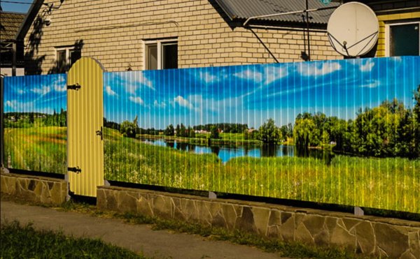 Аэрография на заборе из профнастила