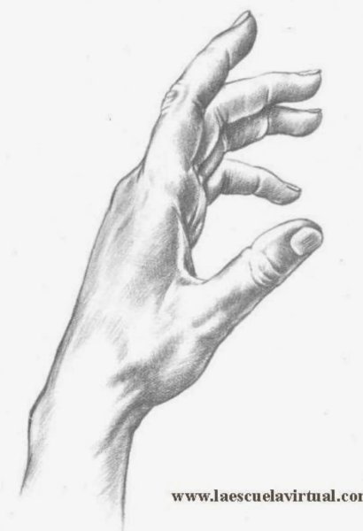 Кисти рук карандашом