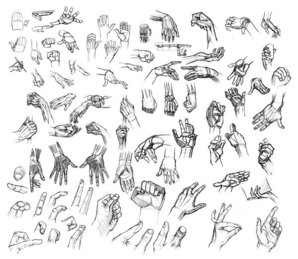 Кисть руки рисунок