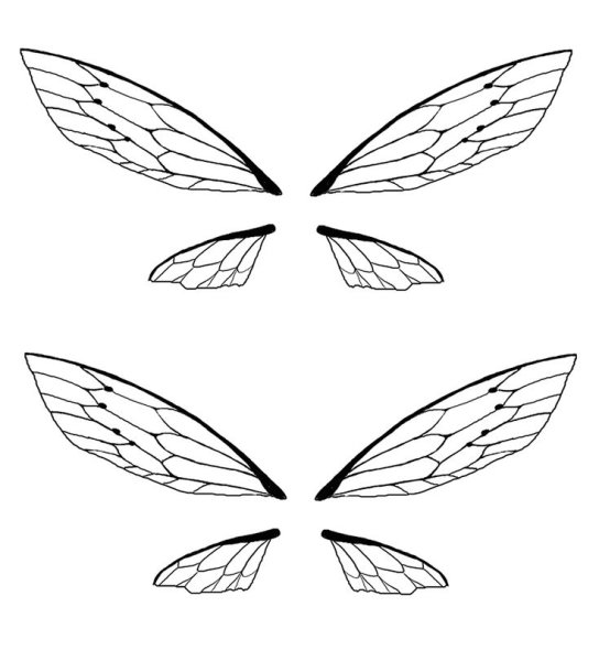 Крылья бабочки контур