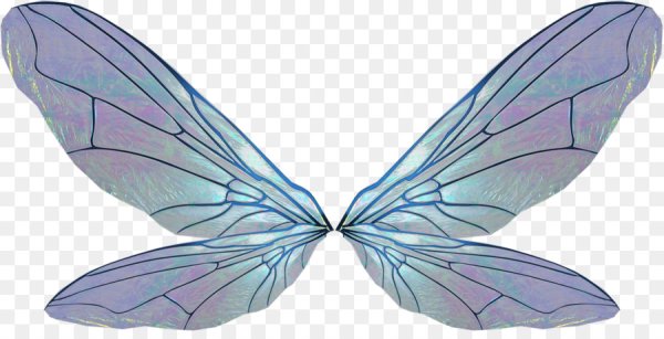 Стрекоза с прозрачными крыльями