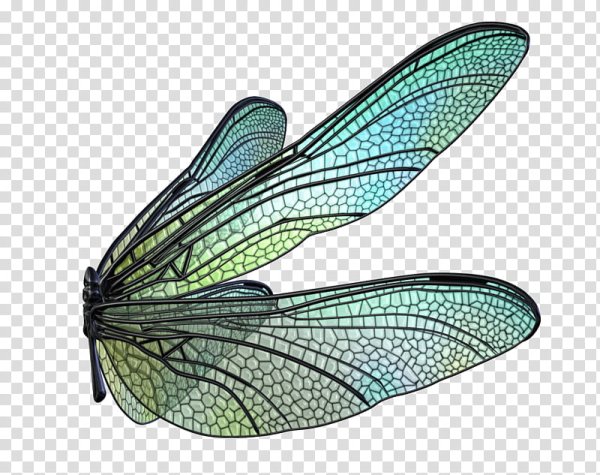 Крылышки Стрекозы