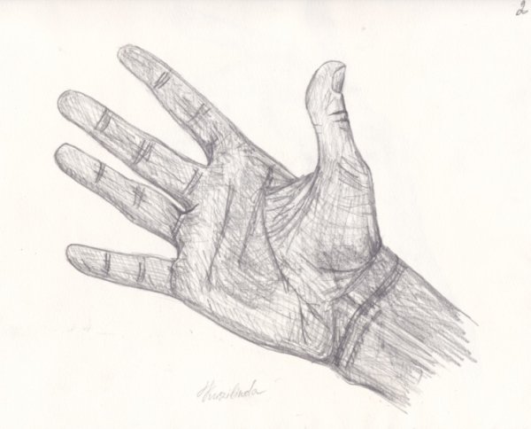 Ладонь карандашом
