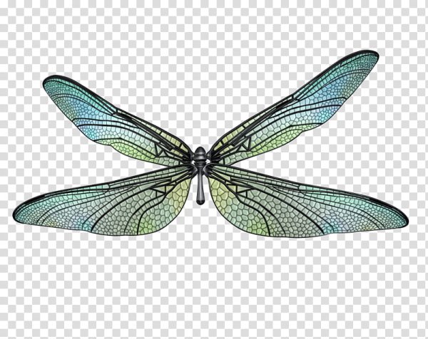 Крылышки Стрекозы