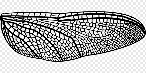 Крылья Стрекозы вектор