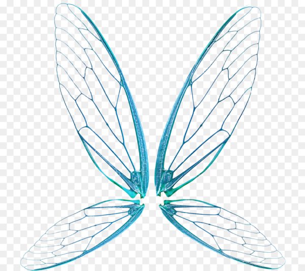 Крылышки феи