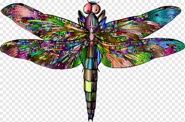 Крылья Стрекозы клипарт