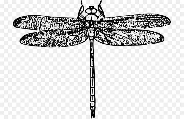 Крылья Стрекозы контур