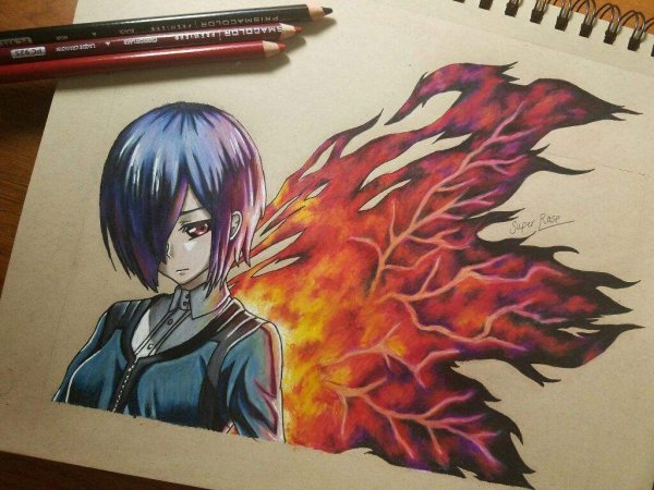 Тоука кагуне