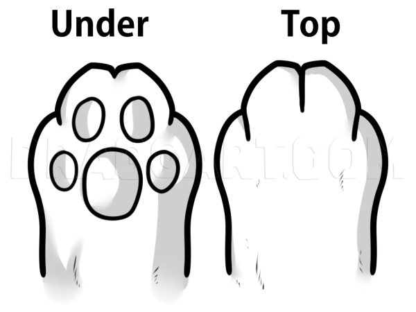 Нарисованная Кошачья лапка