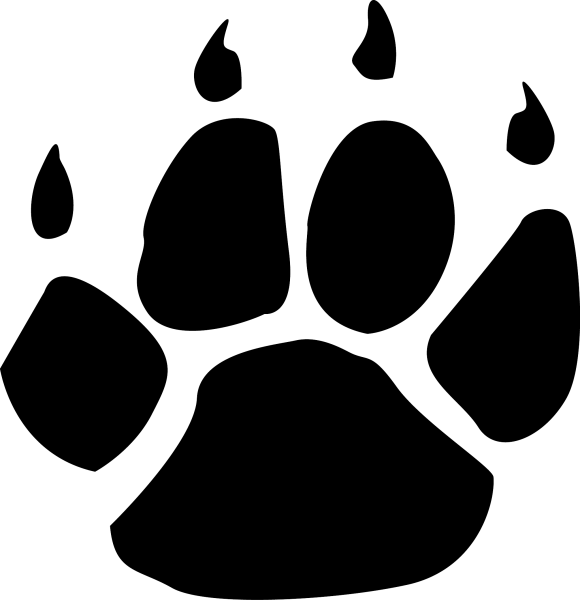 Кошачьи лапки следы