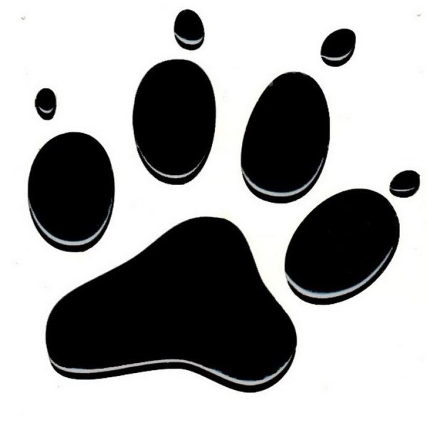 Лапка собаки