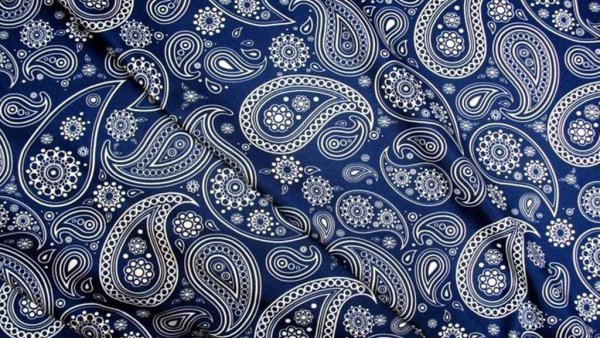Индия орнамент пейсли