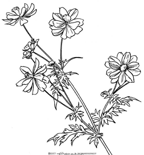 Цветы ноготки мультяшные