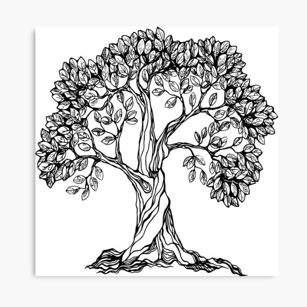 Дерево Графика