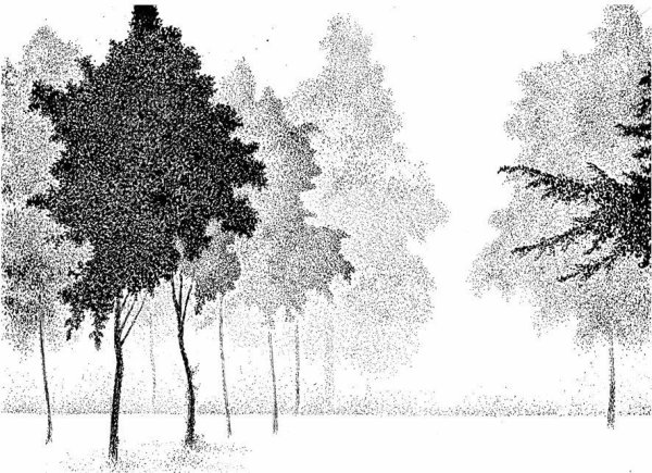 Графический пейзаж тушью