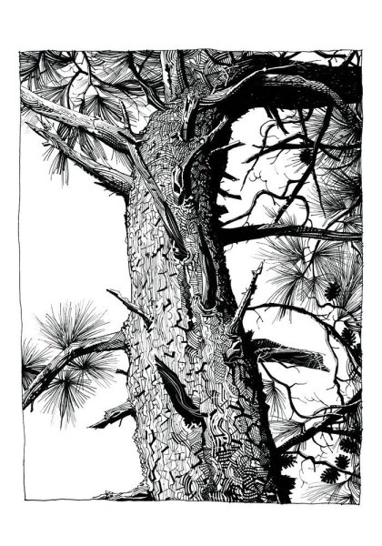 Деревья в графике