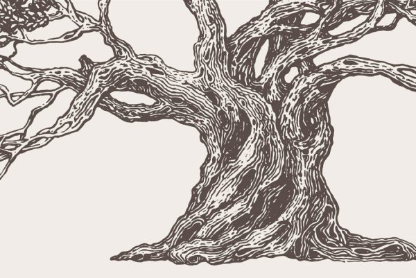 Стилизованные корни деревьев