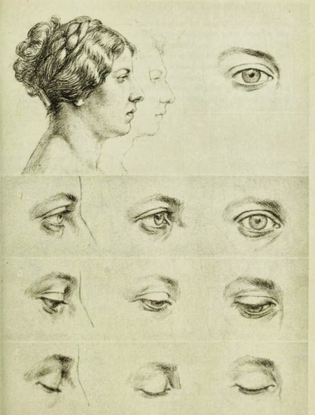 Рисование глаз в разных ракурсах