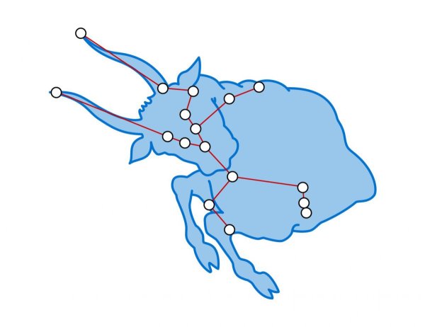 Созвездие Taurus - Телец