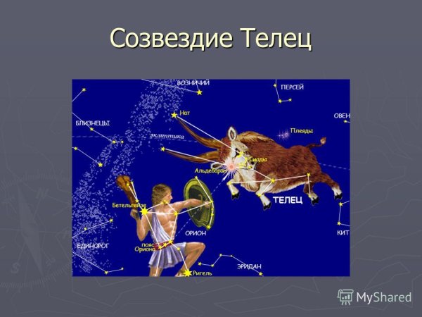Созвездие Телец схема