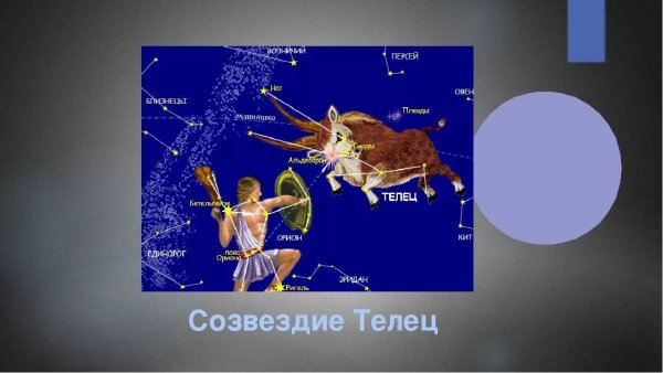 Созвездие Орион и Телец