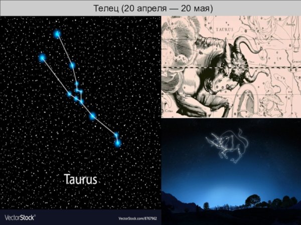Созвездие тельца на небе