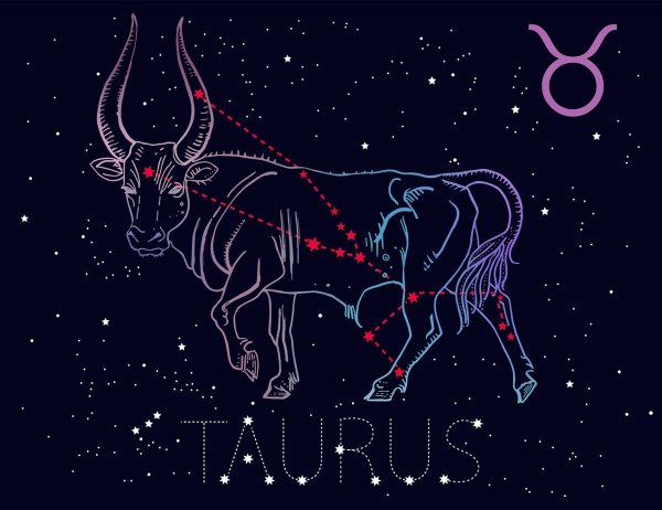 Зодиакальное Созвездие тельца