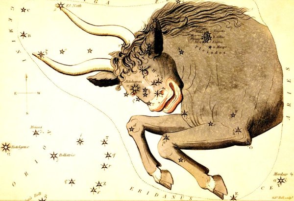 Созвездие Taurus - Телец