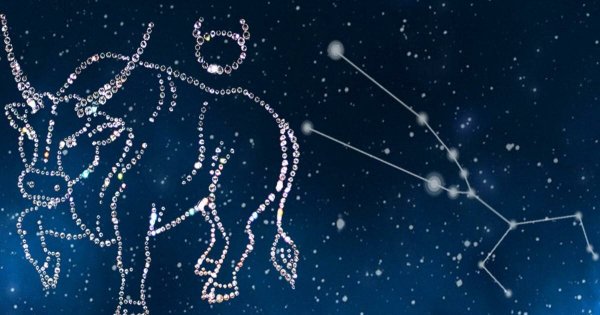 Созвездие Телец