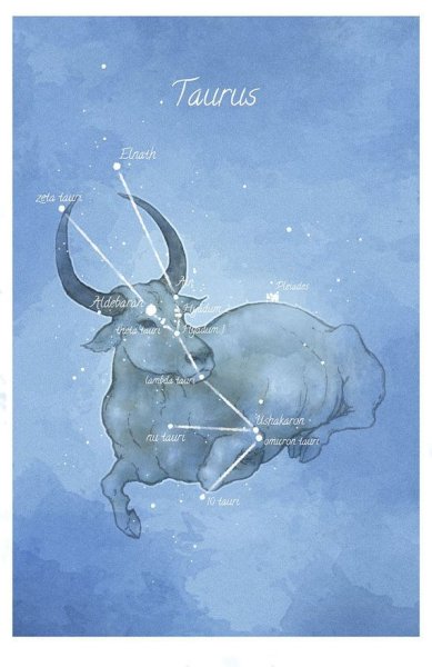 Таурус Созвездие