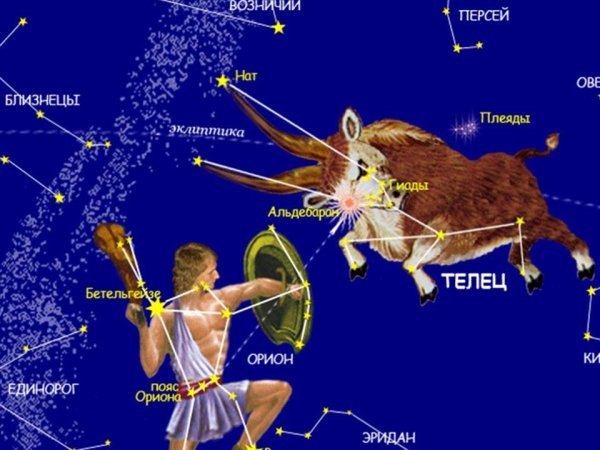 Как выглядит Созвездие Телец