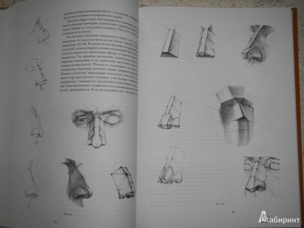 Книга Николай ли основы учебного академического