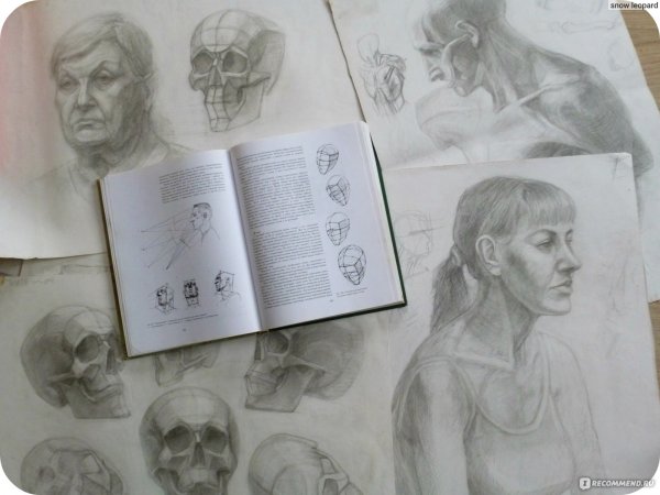 Николай Геннадьевич ли художник