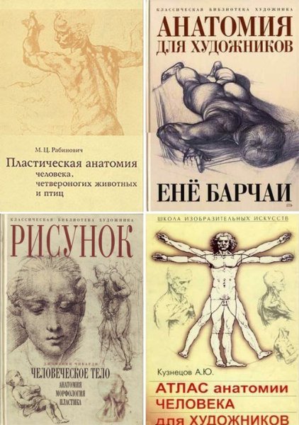 Рабинович анатомия человека для художников