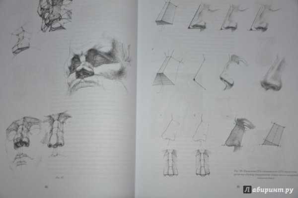 Николай ли основы академического рисунка