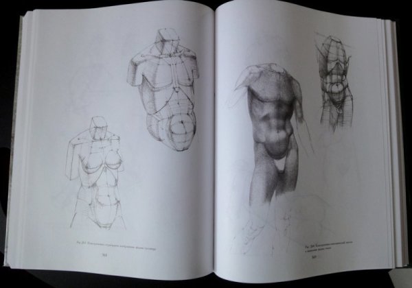 Книга Николай ли основы учебного академического