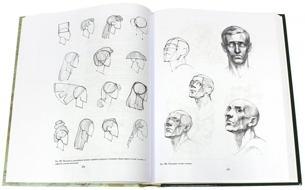 Книга Николай ли основы учебного академического рисунка