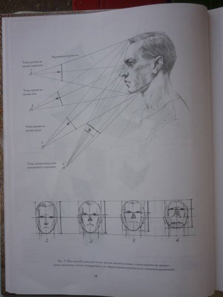 Голова человека основы учебного академического рисунка Николай