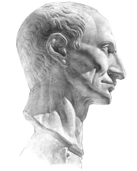 Пропорции гипсовой головы Аполлона