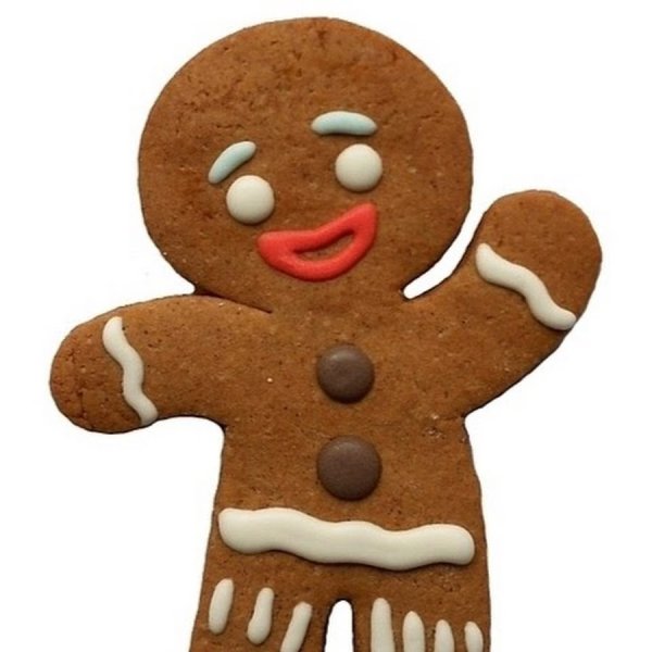 Пряничный человечек Шрек